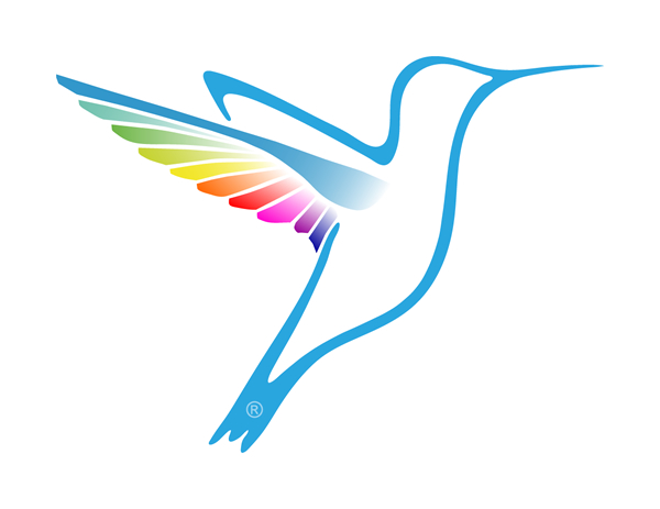 Hummingbird Webworks